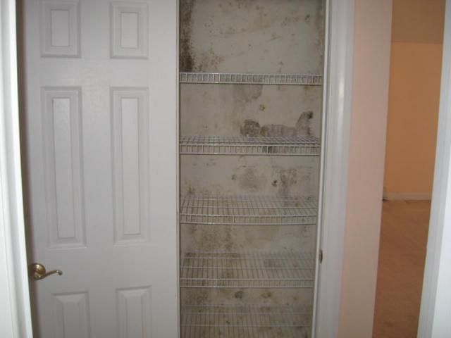 This was a clean house, until opening the closet door!